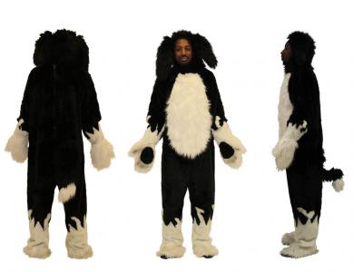 c345-black-white-dog